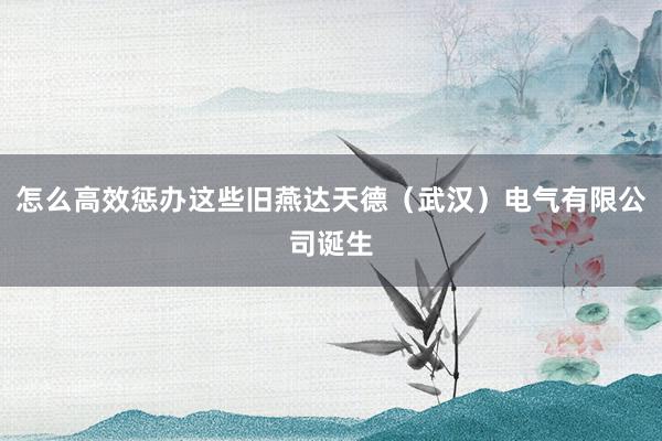 怎么高效惩办这些旧燕达天德（武汉）电气有限公司诞生