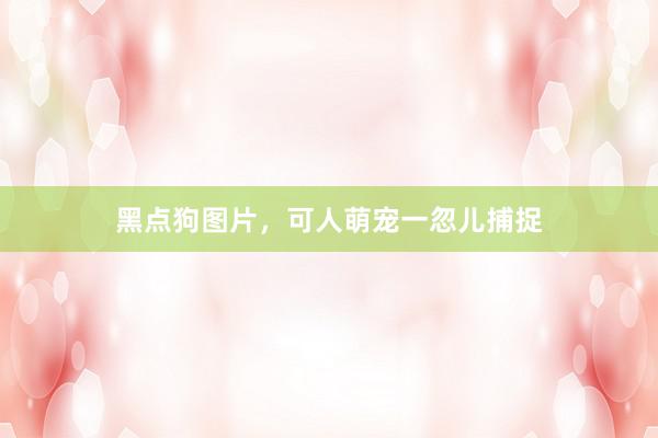 黑点狗图片，可人萌宠一忽儿捕捉