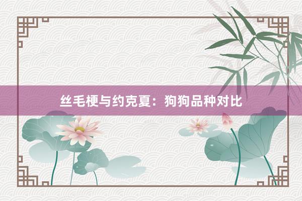 丝毛梗与约克夏：狗狗品种对比