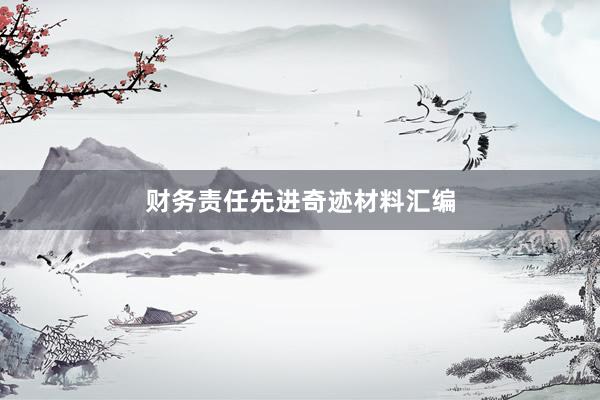 财务责任先进奇迹材料汇编
